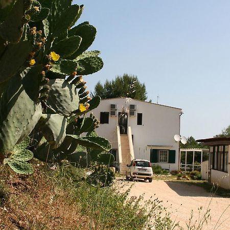 Agriturismo Affittacamere Atlhos Vieste Dış mekan fotoğraf