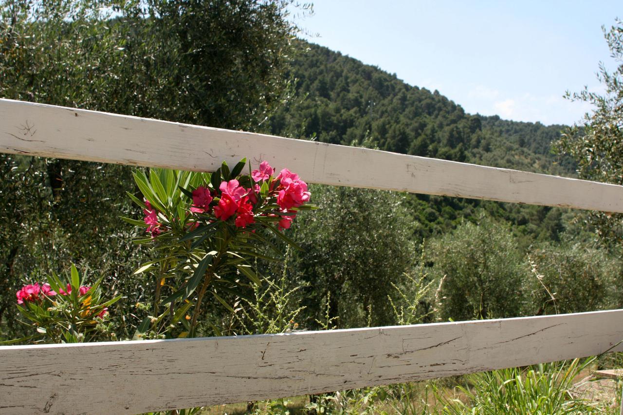 Agriturismo Affittacamere Atlhos Vieste Dış mekan fotoğraf